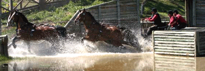 Frederico de Beck vence nas Lezírias