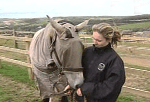 Horse Allergic To Grass