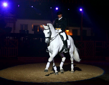 Jo&atilde;o Pedro Rodrigues, Jorge Pereira e Pedro Torres na Alemanha