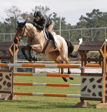 Rafael Ribeiro, Olivier Guillon e Trevor Breen vencedores na penúltima jornada de cavalos novos