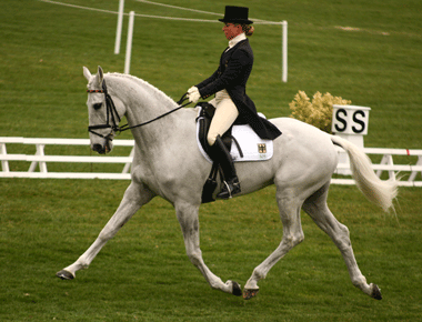 Bettina Hoy is still in the lead at the CICO3*