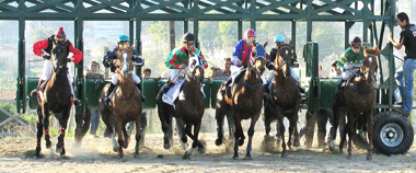 1ª Prova do Centro Equestre Loureiro Velho Epoca 2009