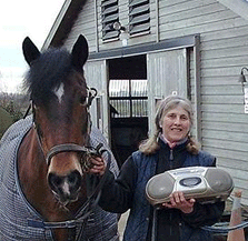Woman who plays classical music to soothe horses told to get licence