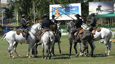 Ovibeja recebe a II Jornada de Equitação de Trabalho
