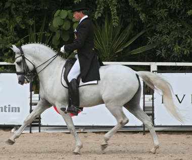 12º Leilão Luso-Brasileiro