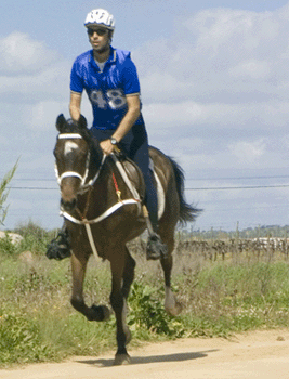 Reguengos de Monsaraz acolhe internacionais de resistência equestre