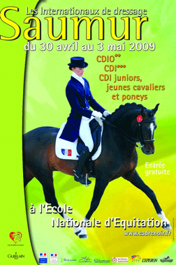 Garanhão Lusitano escolhido para cartaz do CDIO de Saumur