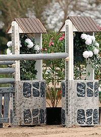 Cerca de 100 conjuntos inscritos no CSI** de Reguengos de Monsaraz