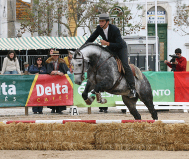 Resultados da III Jornada do Cto Nacional de Equita&ccedil;&atilde;o de Trabalho
