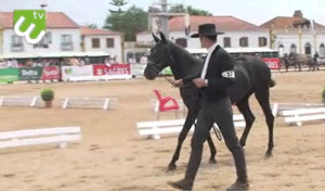 ETV - Equestriads esteve na XI Expoégua