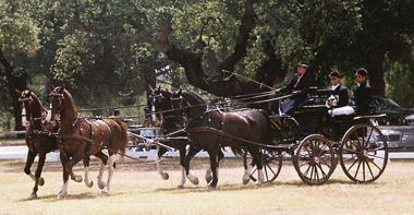 Resultados da Jornada Final de Pau