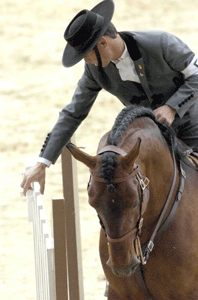 Pedro Torres dominou a 2ª jornada do VII Cto. Nacional de Equitação de Trabalho