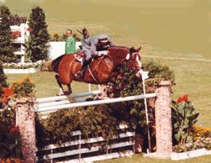 Porque será que todos os anos o CSI de Madrid "vira" as costas aos cavaleiros Portugueses?