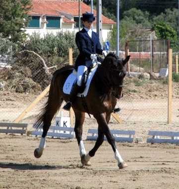 Resultados da Poule de Dressage no CHCE