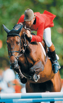 Adeus Dollar Girl (1980-2009)