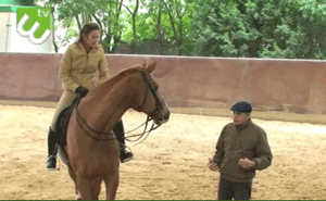 ETV - Equestriads entrevistou D. Miguel T&aacute;vora