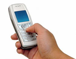 Cavaleira atropelada por cavalo...