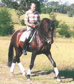Clínica de Ensino-Dressage com o Mestre D. Miguel Távora