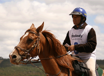 Resultados II Raid H&iacute;pico de Estremoz – Sabores do Campo