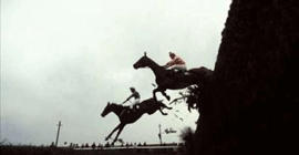 Trainer threatens to kill horses