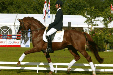 Tolando vendido para o Canad&aacute;