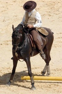 Portugal sagra-se novamente vencedor no 2º dia da III Feira do Cavalo