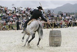 Portugal consagrou-se Campeão Europeu de Equitação de Trabalho 2009