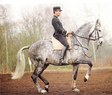 Philippe Karl launches an appeal to the German NF