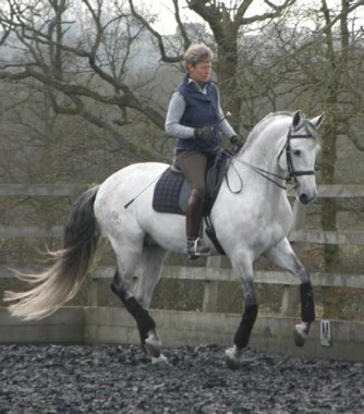 "Rico" arrasou na sua estreia em Hickstead