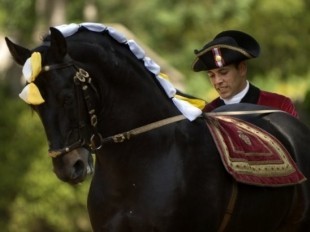 Rumar a Alter do Chão por um dia...