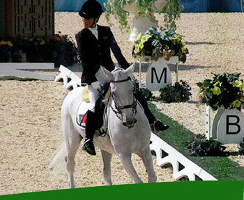 Para Equestrian FEI Course for Coaching