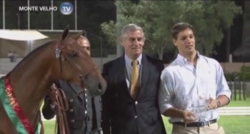 Monte Velho publica vídeos de Dihamante e Dom Quixote