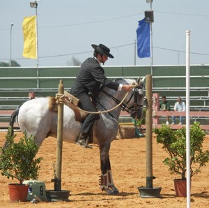 C&acirc;mara Municipal da Moita repudia acusa&ccedil;&otilde;es da APSL