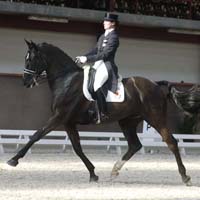 Carlos Pinto, décimo terceiro no G.P. de Strassen