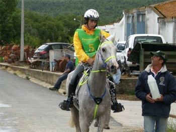 Arraiolos Endurance Team convidada para Newmarket