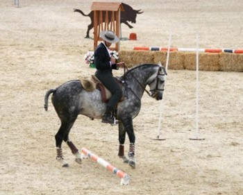 Reportagem da ETV sobre o Cto. da Europa de Equita&ccedil;&atilde;o de Trabalho