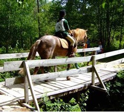 FEP em ac&ccedil;&atilde;o de divulga&ccedil;&atilde;o do TREC