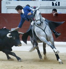 "Manzanares sacrificado" e "Pirata lesionado"