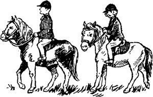 Passagem da REFER p&otilde;e cavalos doentes