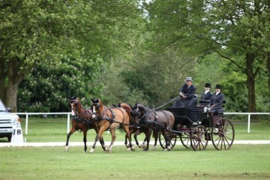Dutch dominance in Breda