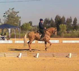 Resultados da VII Jornada do Cto Nacional de Equita&ccedil;&atilde;o de Trabalho