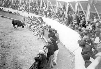 Exposi&ccedil;&atilde;o sobre hist&oacute;ria da tauromaquia