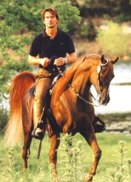 Arabian Horse Enthusiast Patrick Swayze Dies at 57