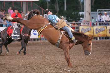 Rodeo Americano visita pela primeira vez a Europa
