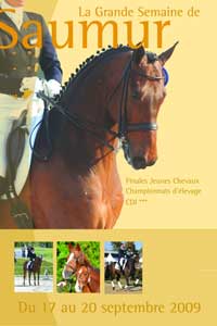 Sugest&otilde;es para o fim-de-semana