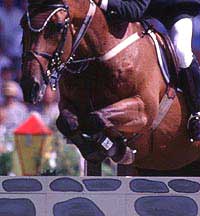 Laura Newman, em vias de ser extraditada para a B&eacute;lgica