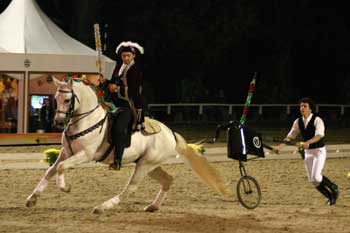 Hipismo e tradi&ccedil;&atilde;o portuguesa em &Aacute;guas de Lind&oacute;ia