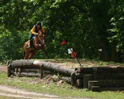 Jornada do Campeonato Nacional de TREC promete emo&ccedil;&atilde;o