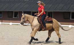 Anky van Grunsven debutou em Marienheem