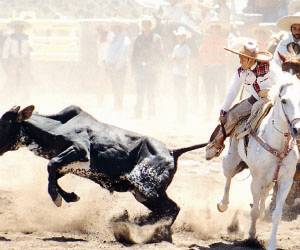 A Charreria faz uma homenagem ao cavalo